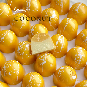 【Limited-Time Offer】18 Premium Chocolate Truffles